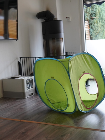 Kindertagespflege Nordhorn